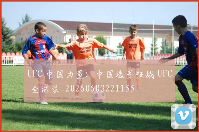 UFC 中国力量：中国选手征战 UFC 全记录_20260603221155