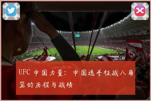 UFC 中国力量：中国选手征战八角笼的历程与战绩