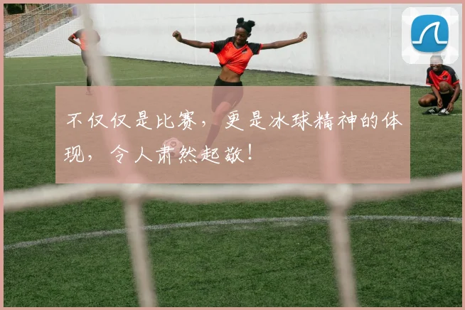 不仅仅是比赛，更是冰球精神的体现，令人肃然起敬！