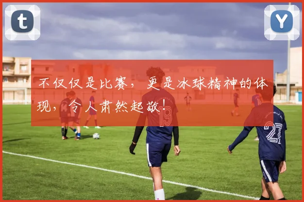 不仅仅是比赛,更是冰球精神的体现,令人肃然起敬!