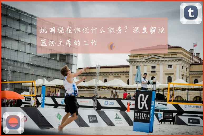 姚明现在担任什么职务？深度解读篮协主席的工作